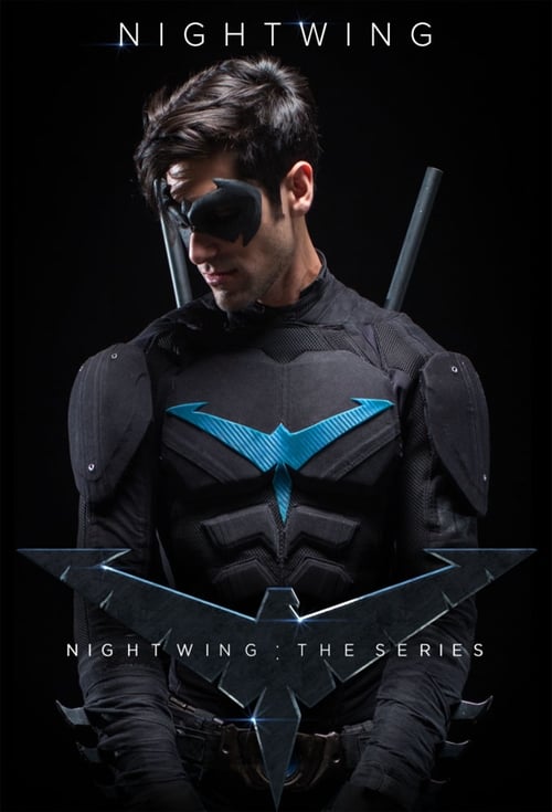 Poster della serie Nightwing: The Series