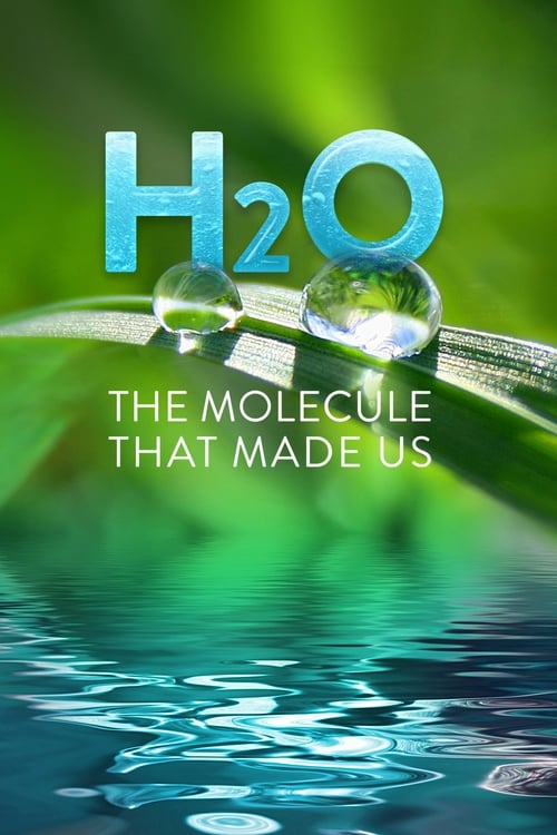 Poster della serie H2O: The Molecule that Made Us