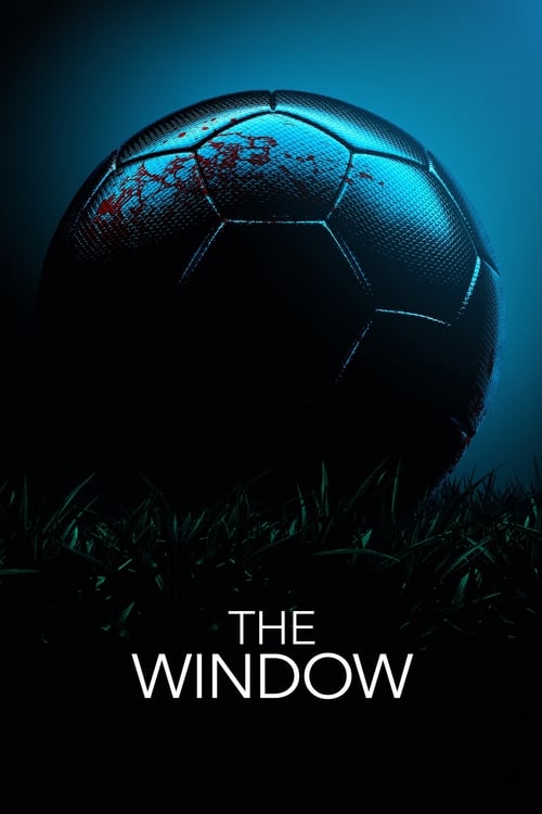 Poster della serie The Window