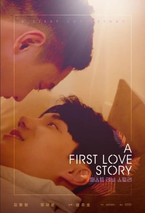 Poster della serie A First Love Story