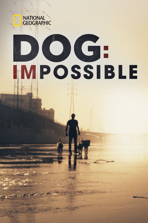 Poster della serie Dog: Impossible