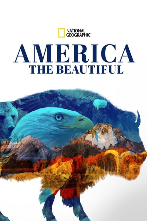 Poster della serie America the Beautiful
