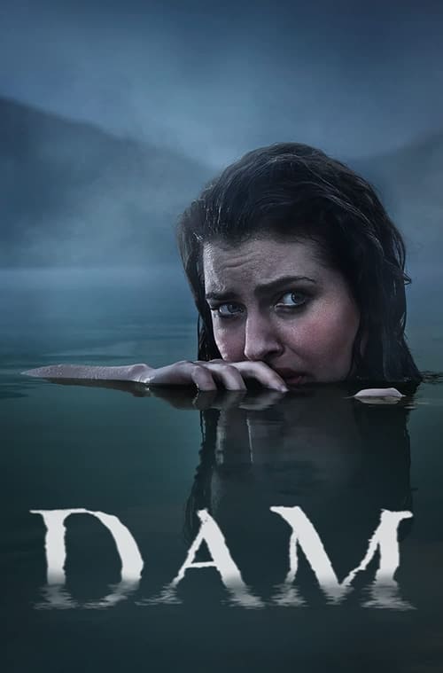 Poster della serie Dam