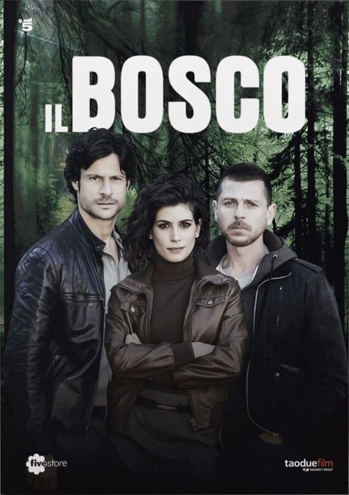 Poster della serie Il Bosco