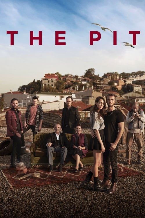 Poster della serie The Pit