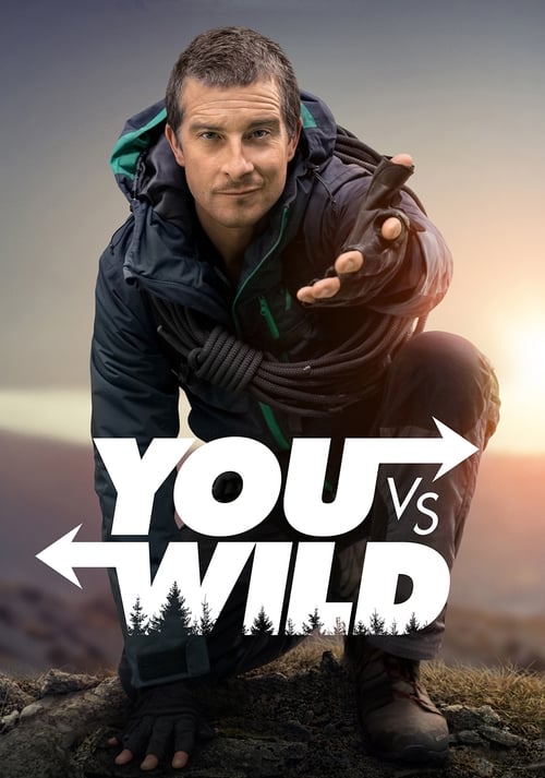 Poster della serie You vs. Wild