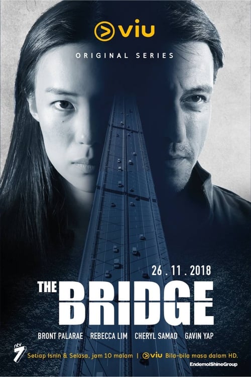 Poster della serie The Bridge