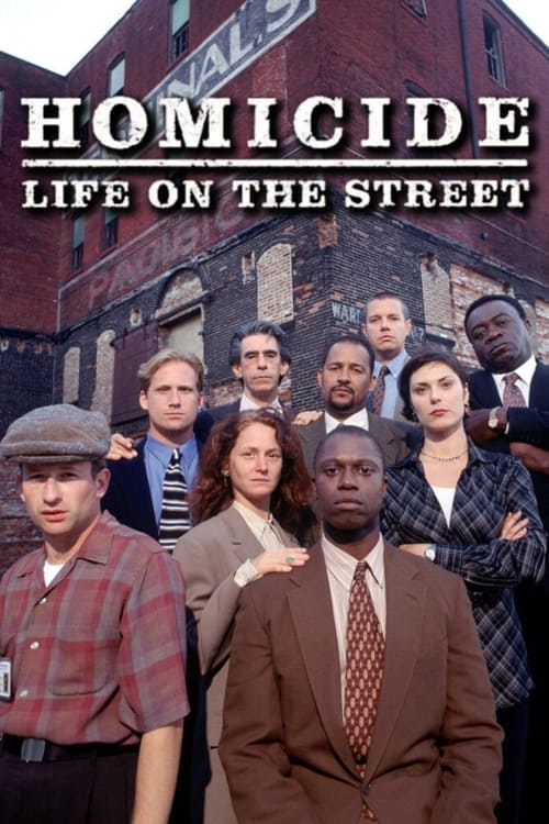 Poster della serie Homicide: Life on the Street