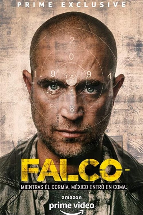 Poster della serie Falco