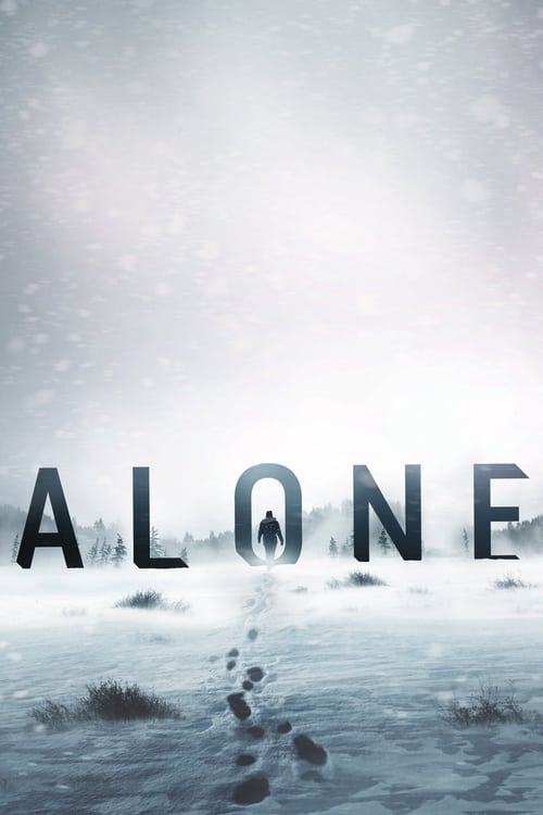 Poster della serie Alone