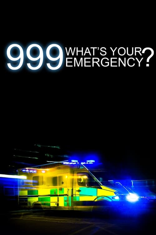 Poster della serie 999: What's Your Emergency?