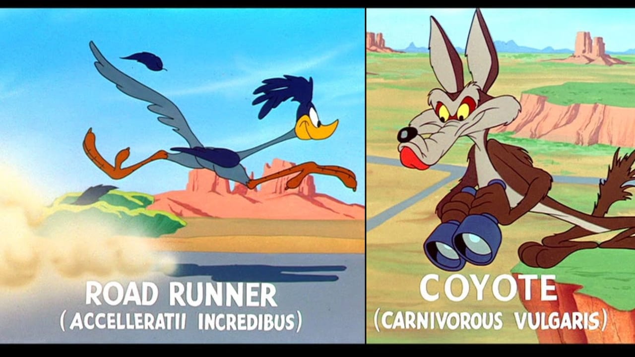 Poster della serie Road Runner and Wile E Coyote
