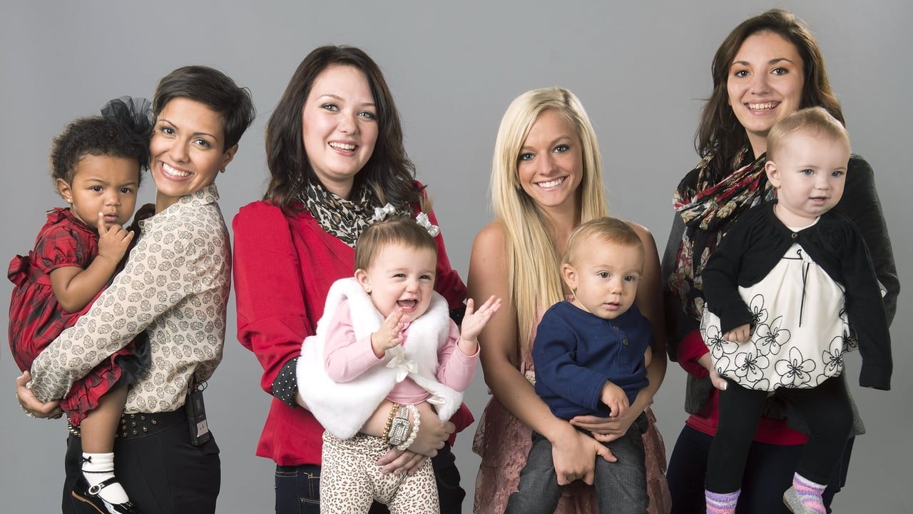 Poster della serie Teen Mom 3