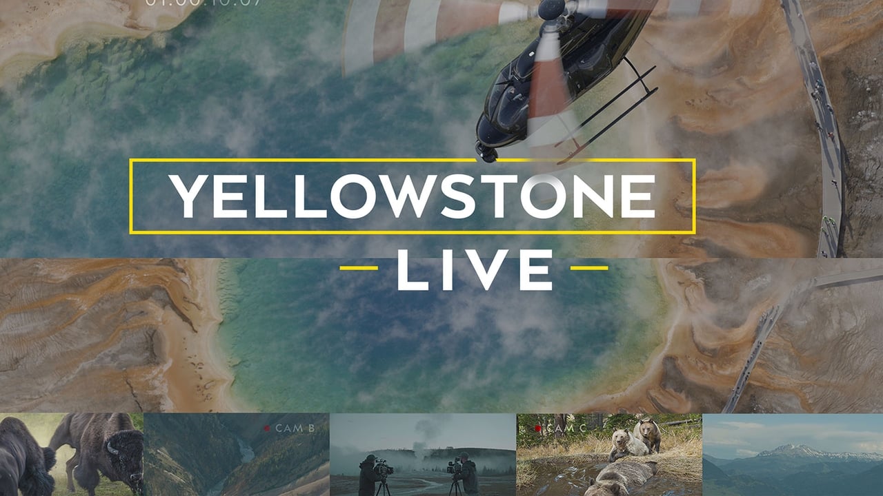 Poster della serie Yellowstone Live