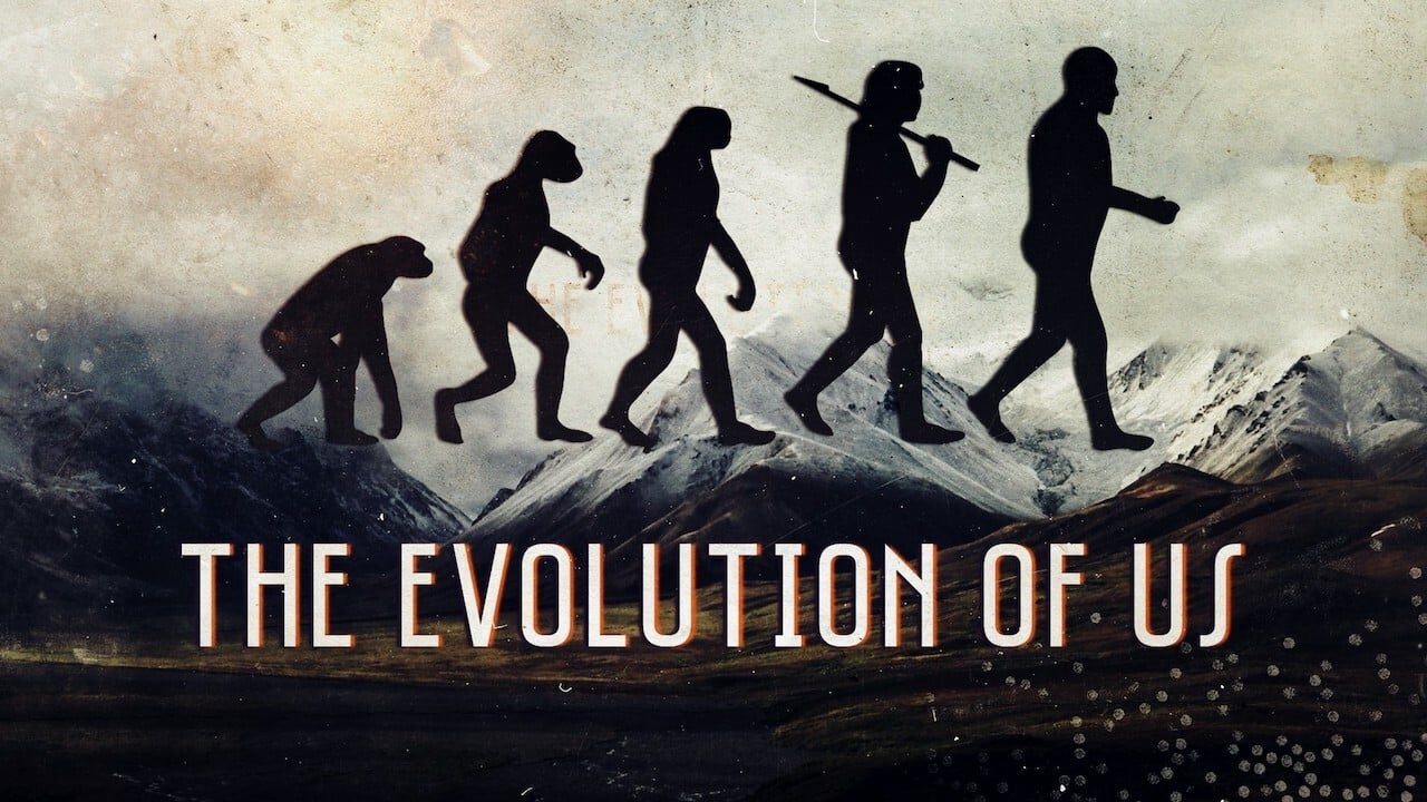 Poster della serie The Evolution of Us