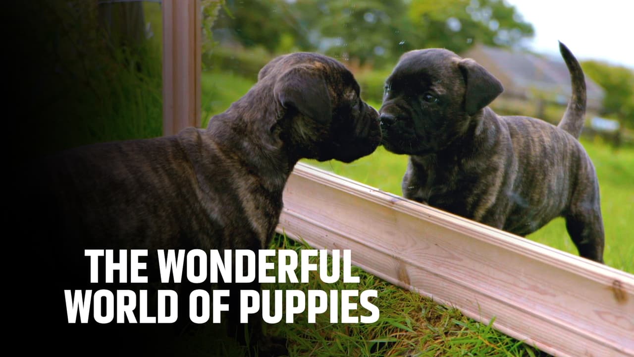 Poster della serie The Wonderful World of Puppies