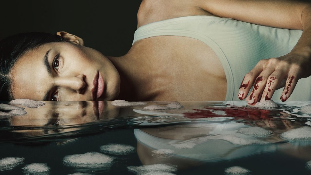 Poster della serie The Cleaning Lady