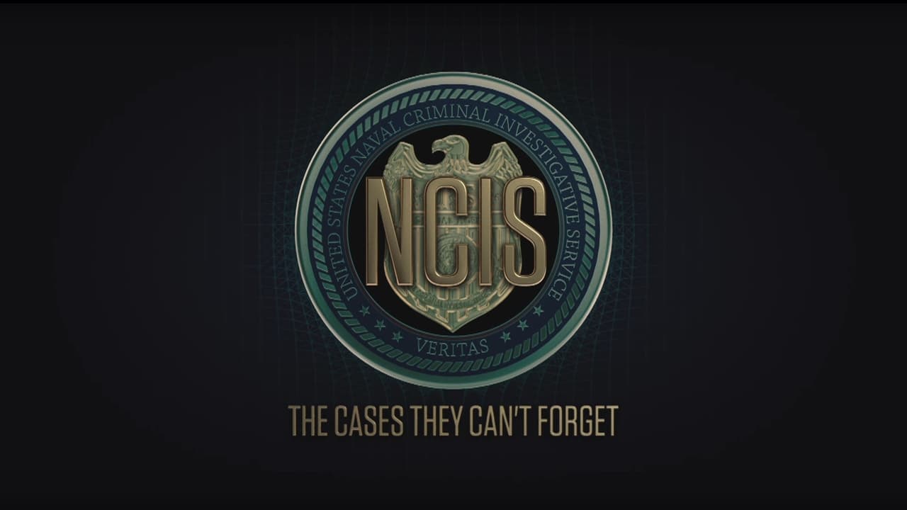 Poster della serie NCIS: The Cases They Can't Forget