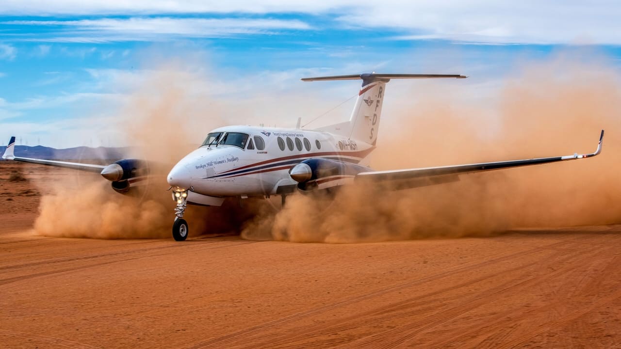 Poster della serie RFDS