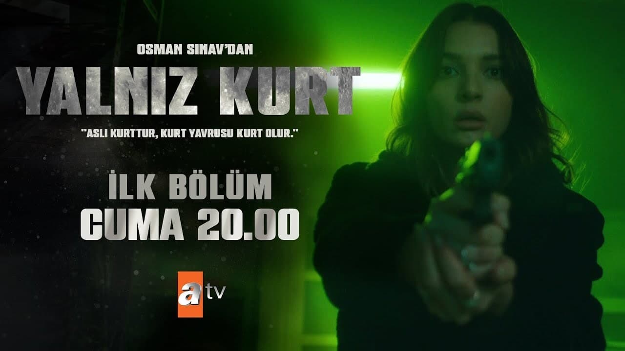 Poster della serie Yalnız Kurt