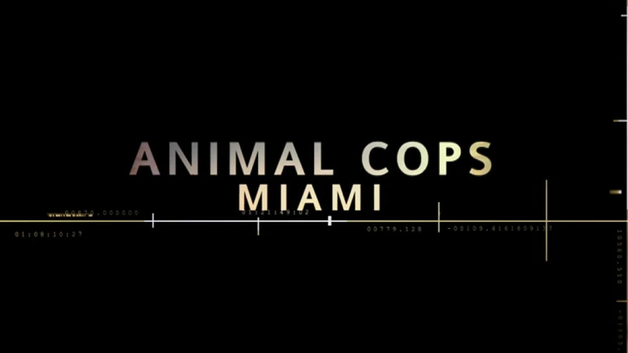 Poster della serie Animal Cops: Miami