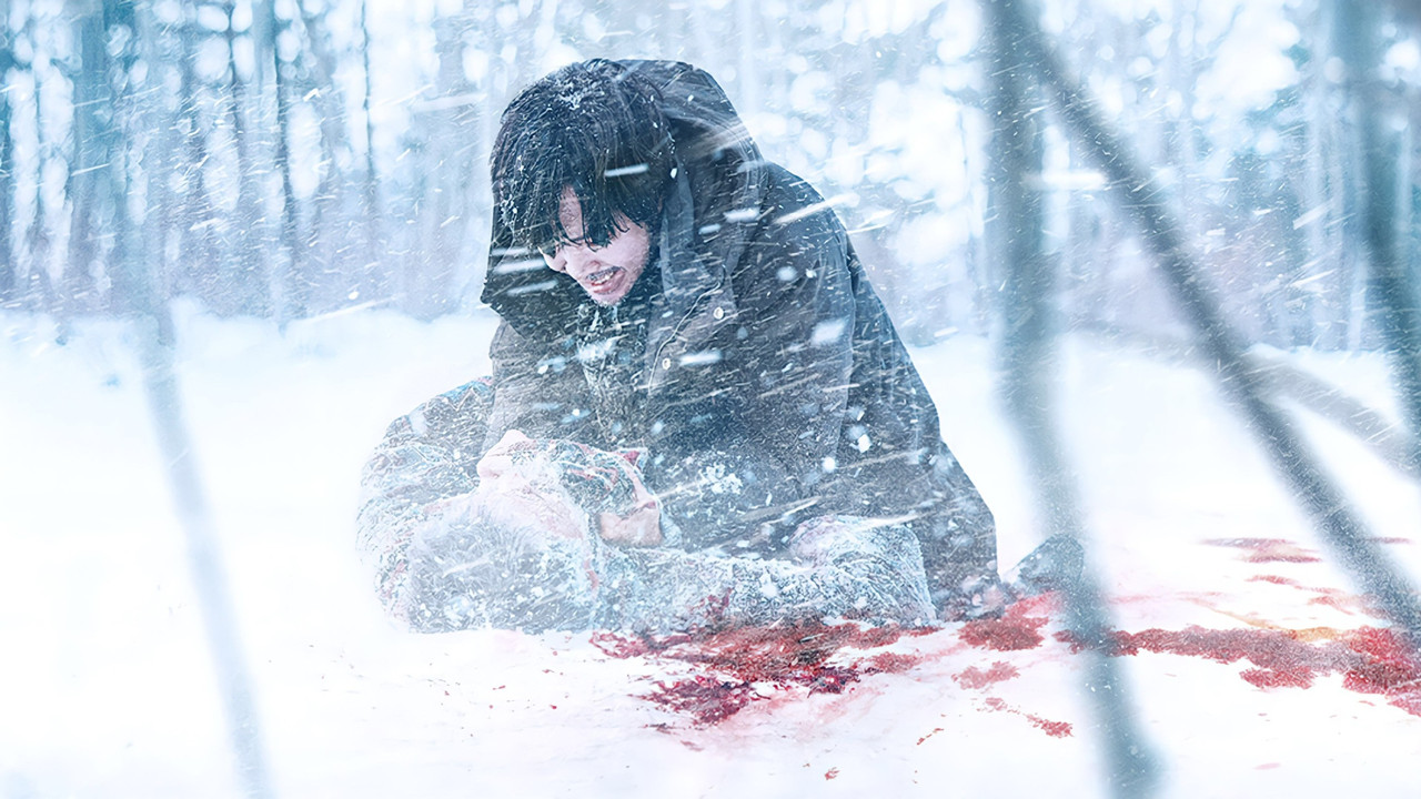 Poster della serie Decoy