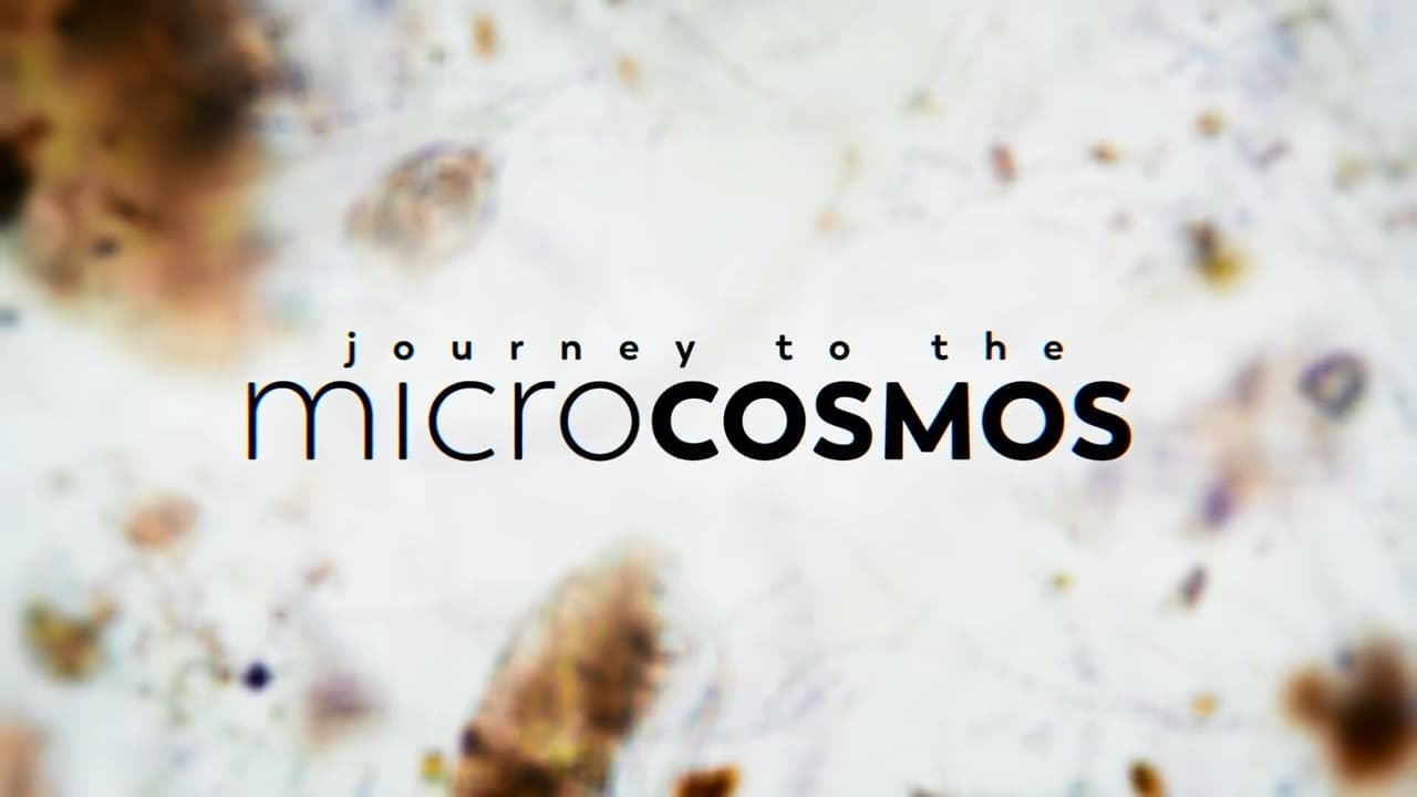Poster della serie Journey to the Microcosmos