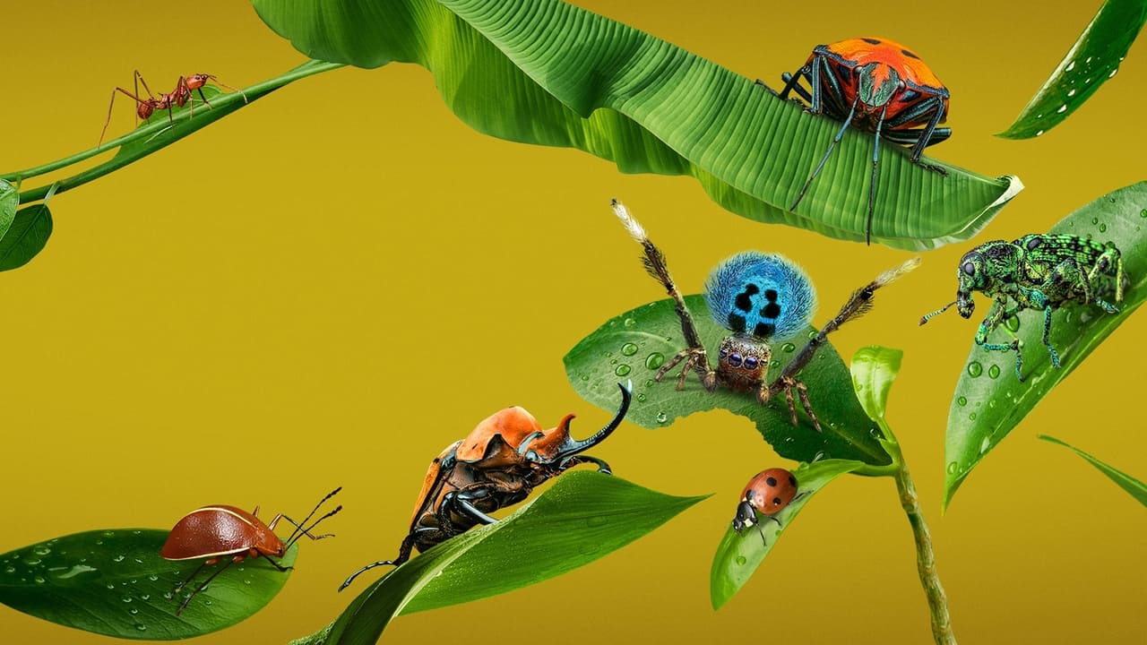 Poster della serie A Real Bug's Life