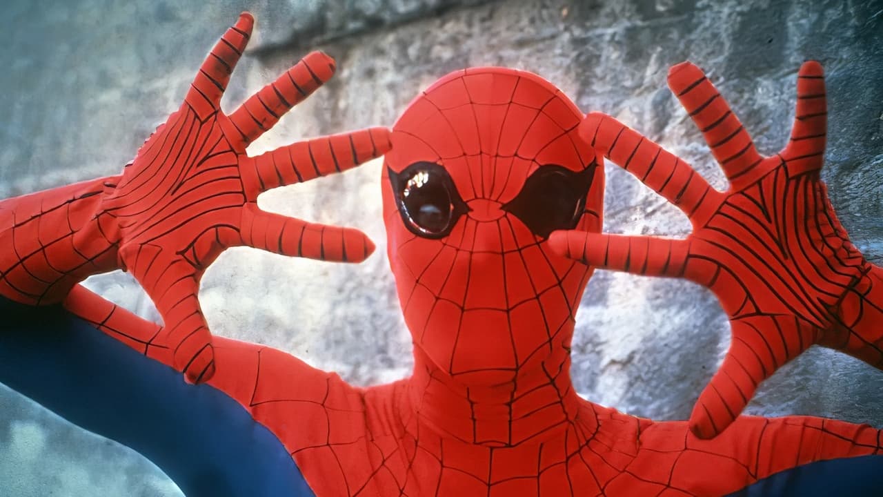 Poster della serie The Amazing Spider-Man