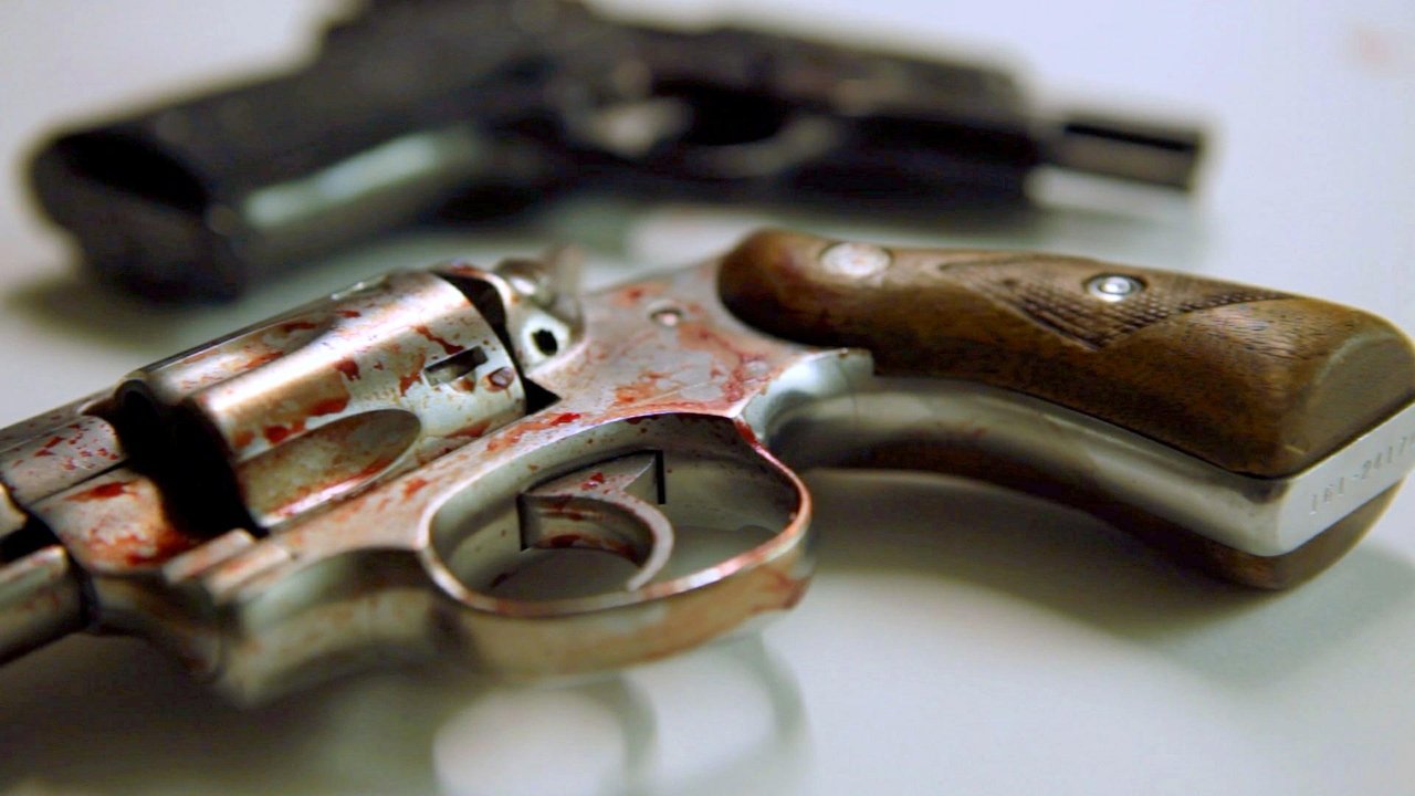 Poster della serie Forensics - The Science of Crime