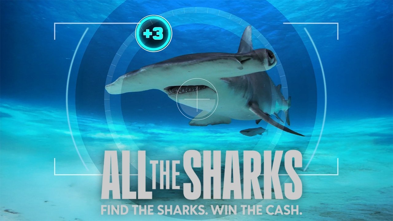 Poster della serie All the Sharks