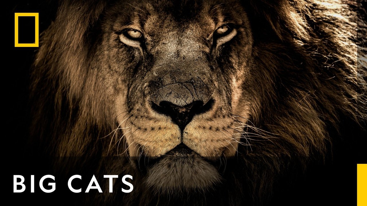 Poster della serie Big Cats