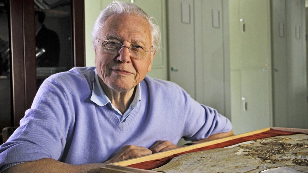 Poster della serie David Attenborough's Rise of Animals: Triumph of the Vertebrates