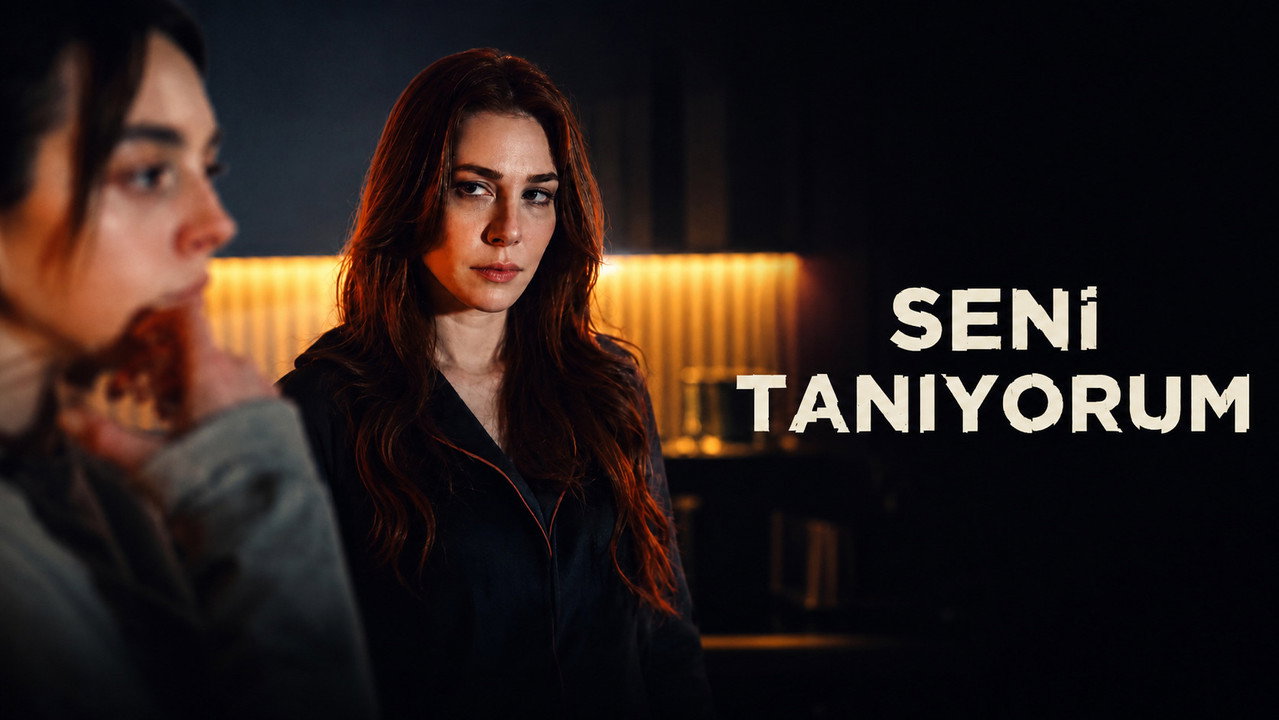Poster della serie Not a Stranger