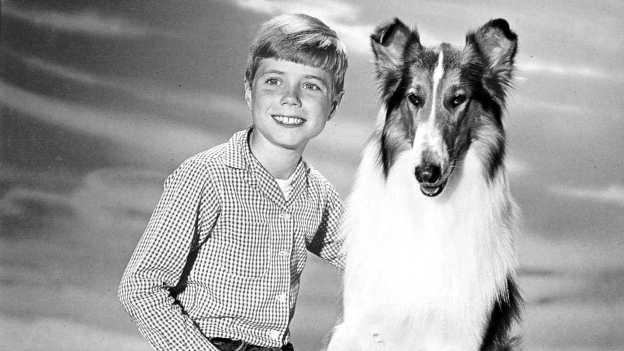 Poster della serie Lassie