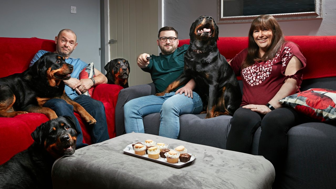 Poster della serie Gogglebox