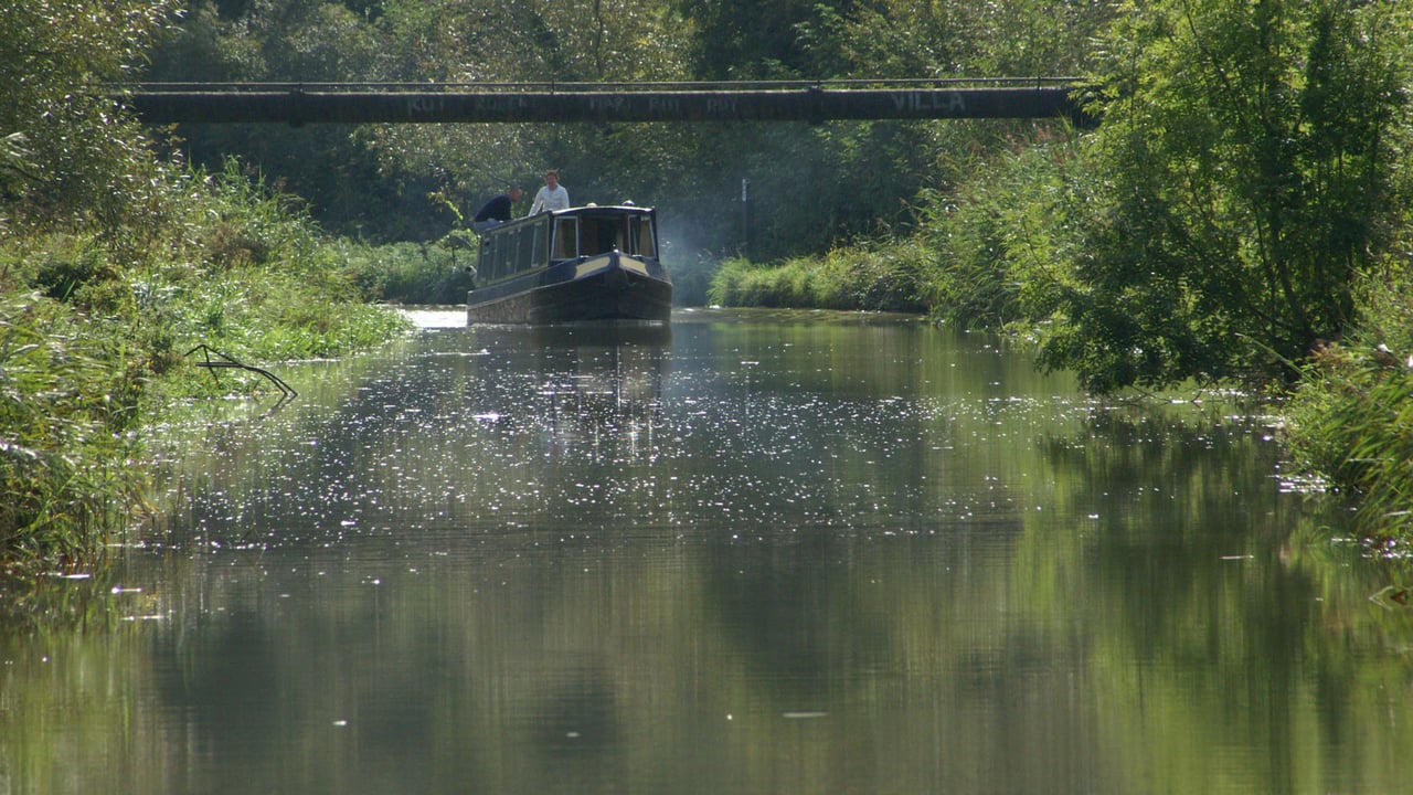 Poster della serie The River