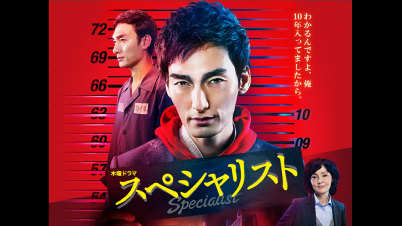 Poster della serie The Specialist