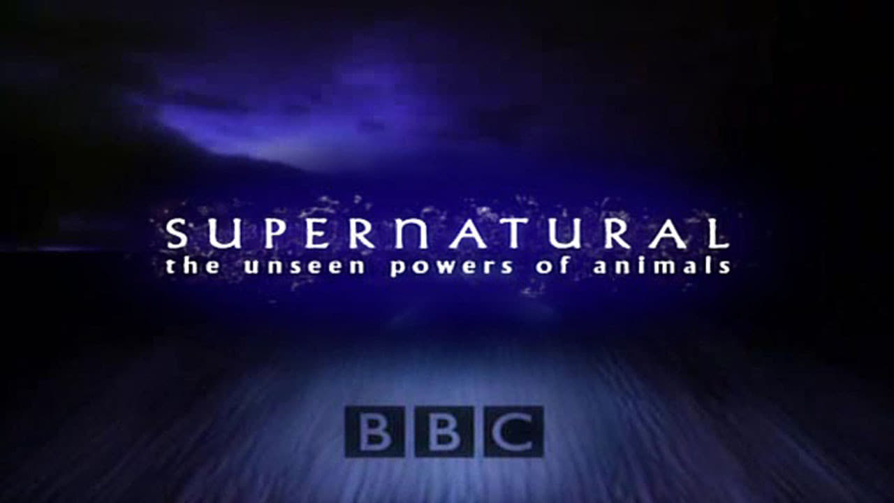 Poster della serie Supernatural: Unseen Power of Animals