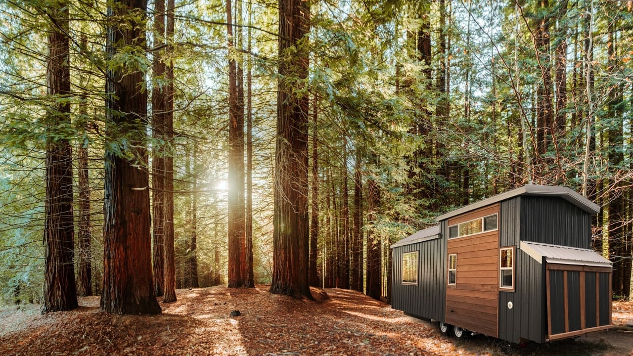 Poster della serie Tiny House, Big Living