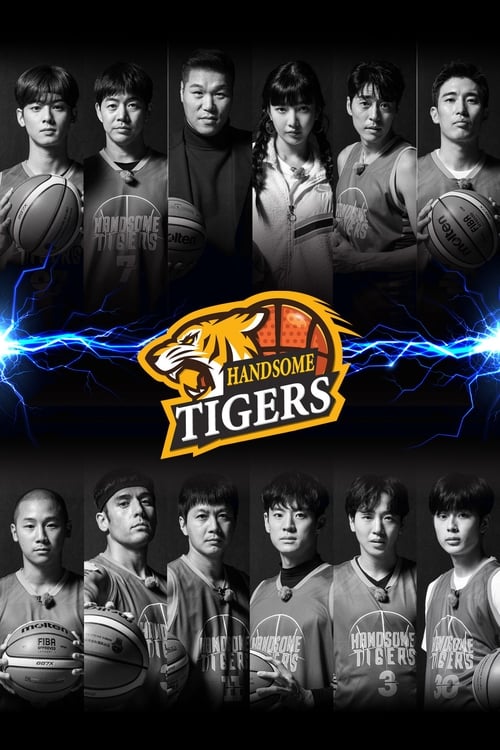 Poster della serie Handsome Tigers