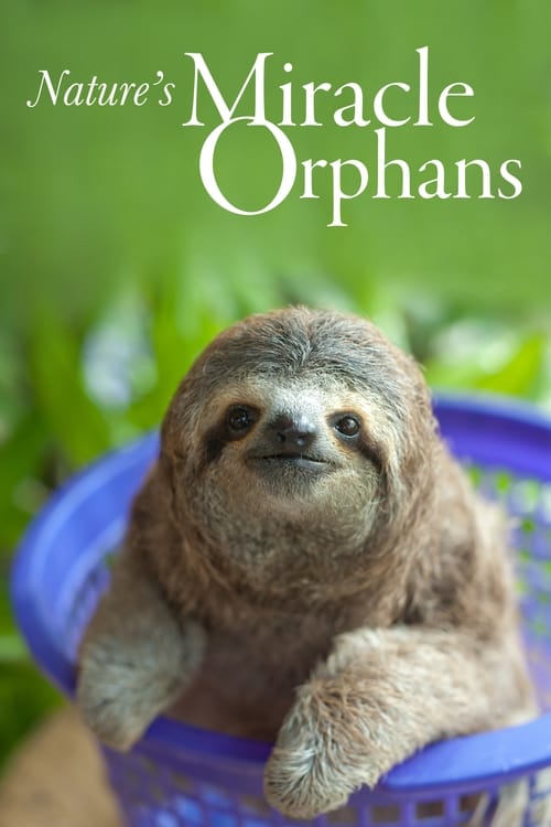 Poster della serie Nature's Miracle Orphans
