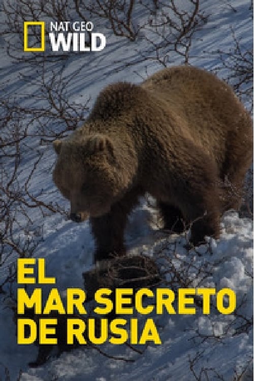 Poster della serie El mar secreto de Rusia