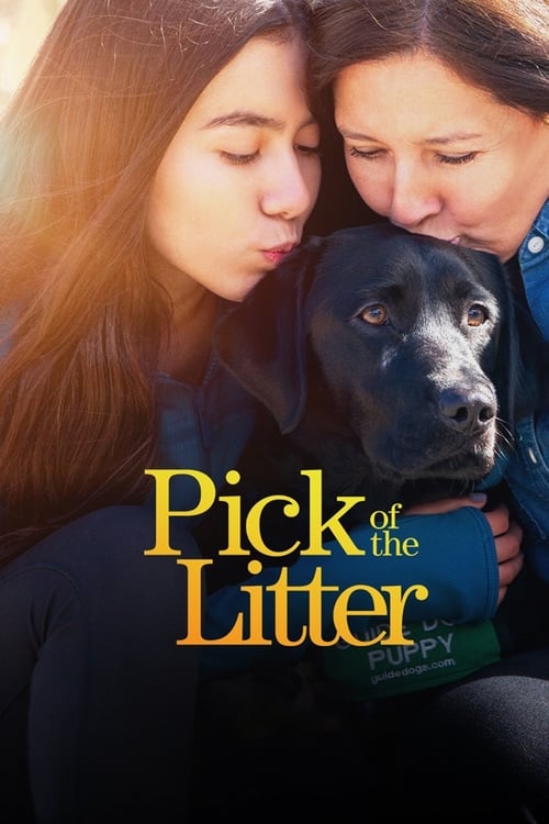 Poster della serie Pick of the Litter