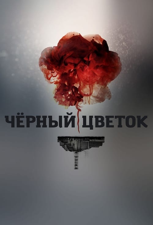 Poster della serie Chernobyl: Aftermath