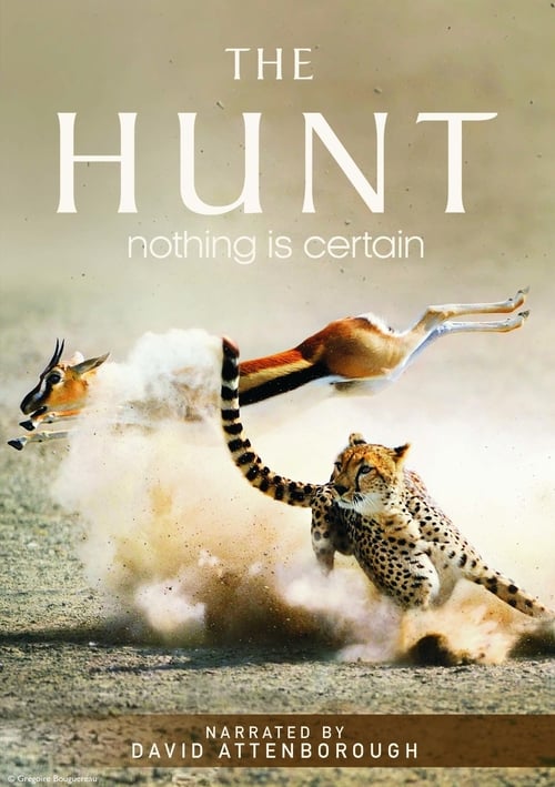 Poster della serie The Hunt