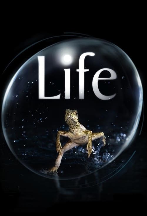 Poster della serie Life