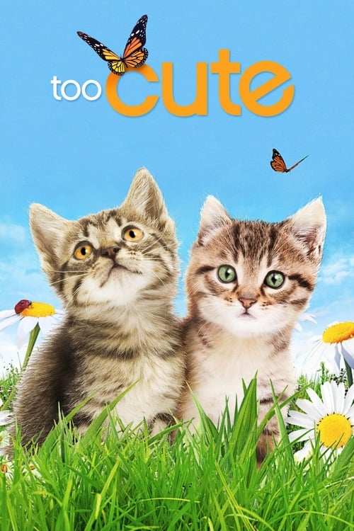 Poster della serie Too Cute