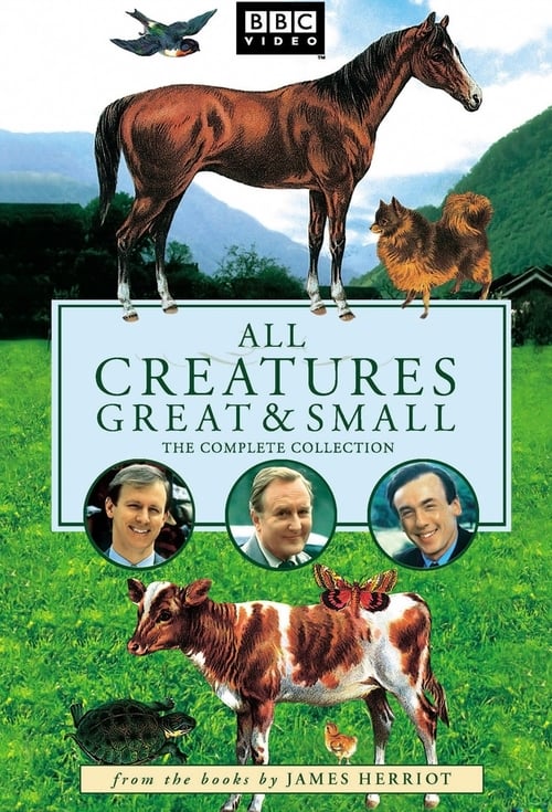 Poster della serie All Creatures Great and Small
