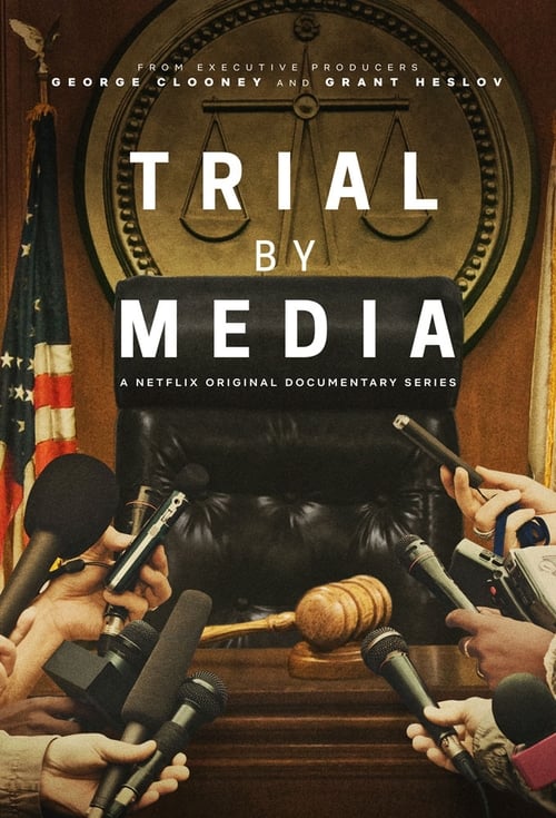 Poster della serie Trial by Media